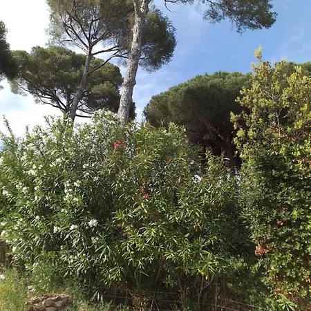 Mediterranea * Les Issambres