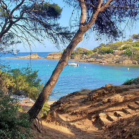 Mediterranea Lejlighed